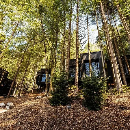 Hotel Fischerwirt Waldspa Faistenau
