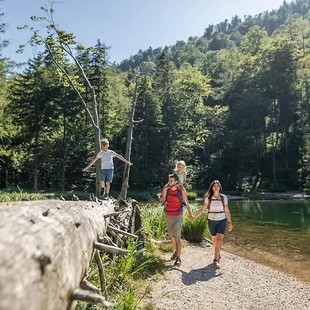 Fischerwirt Waldspa Отель 4*