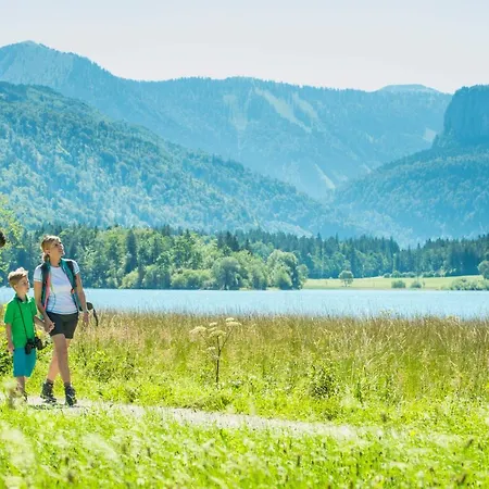 Fischerwirt Waldspa Отель