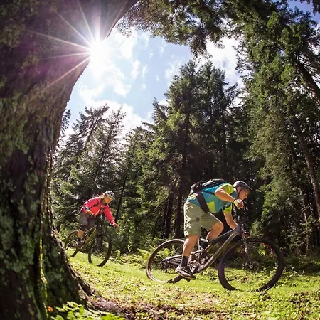Fischerwirt Waldspa 4* Faistenau