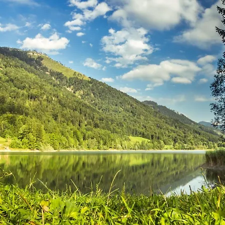 Отель Fischerwirt Waldspa 4*