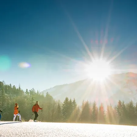 Fischerwirt Waldspa 4* Faistenau