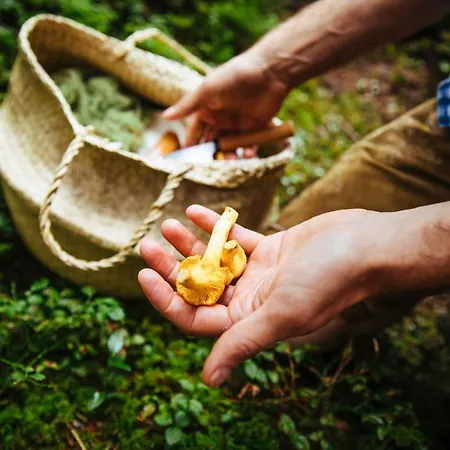 Fischerwirt Waldspa Отель Файстенау