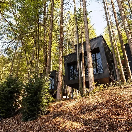 Fischerwirt Waldspa Hotel Faistenau