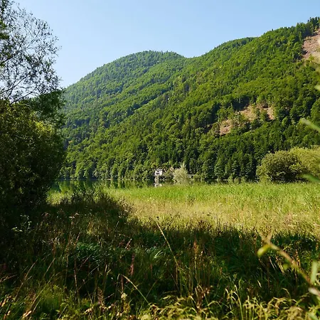 Fischerwirt Waldspa 4*