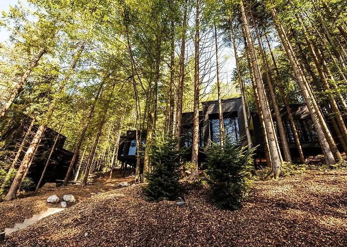 Hotel Hotel Fischerwirt Natur Waldspa Faistenau