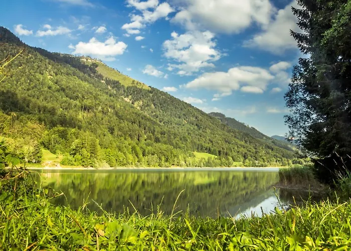 Hotel Hotel Fischerwirt Natur Waldspa 4*