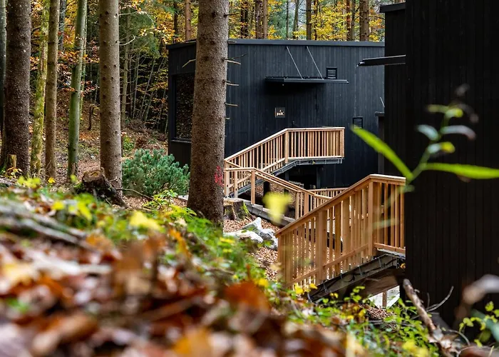 Fischerwirt Waldspa Hotel 4*