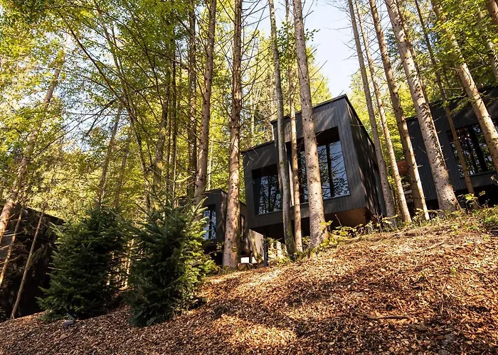 Hotel Fischerwirt Natur Waldspa Hotel Faistenau