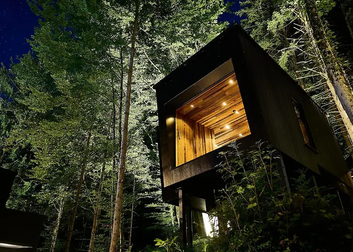 Hotel Fischerwirt Natur Waldspa Hotel 4*