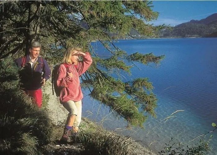 Hotel Fischerwirt Natur Waldspa Faistenau